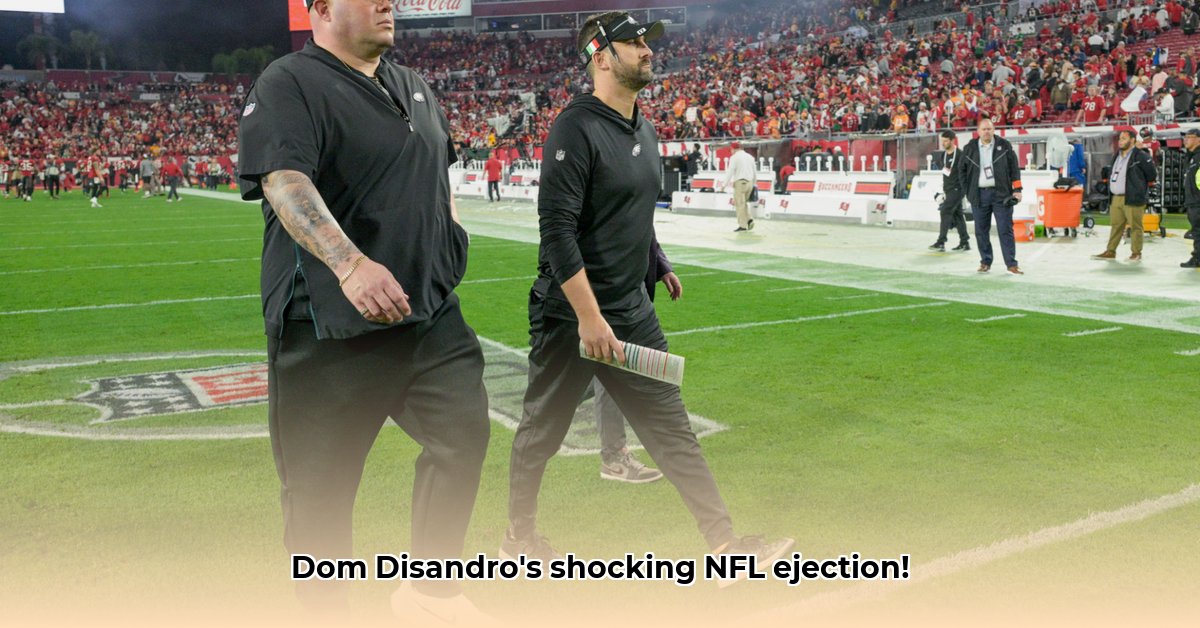 dom-disandro-net-worth